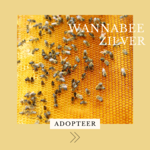 Adoptiepakket WannaBee Zilver